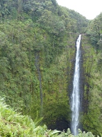 Akaka falls